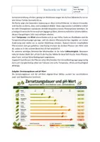 Vorschau - Arbeitsblätter - Ökosystem Wald: Stockwerke im Wald – Arbeitsblatt mit Lösung | Klasse 7/8 - Seite 2
