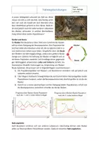 Vorschau - Arbeitsblätter - Ökosystem Wald: Nahrungsbeziehungen im Wald – Arbeitsblatt mit Lösung | Klasse 7/8 - Seite 1