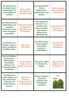 Vorschau - Arbeitsblätter - Nadelwald, Mischwald, Laubwald | Quiz | Rätsel | Spiel | Unterrichtsmaterial | Biologie | Klasse 5-8 | mit Lösungen - Seite 2