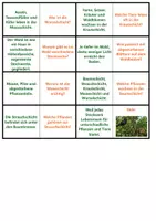 Vorschau - Spiele - Stockwerkbau Wald | Quiz | Rätsel | Spiel | Unterrichtsmaterial | Biologie | Klasse 5-8 | mit Lösungen - Seite 2