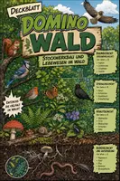Vorschau - Spiele - Stockwerkbau Wald | Quiz | Rätsel | Spiel | Unterrichtsmaterial | Biologie | Klasse 5-8 | mit Lösungen - Deckblatt