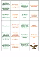 Vorschau - Spiele - Wald: Nahrungsnetz+ökologisches Gleichgewicht | Quiz | Rätsel | Spiel | Unterrichtsmaterial | Biologie | Klasse 5-8 | mit Lösungen - Seite 2