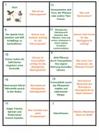 Vorschau - Spiele - Wald: Nahrungsnetz+ökologisches Gleichgewicht | Quiz | Rätsel | Spiel | Unterrichtsmaterial | Biologie | Klasse 5-8 | mit Lösungen - Seite 3