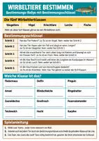 Vorschau - Arbeitsblätter - Wirbeltiere – 3 Lernspiele Biologie Klasse 5–6 - Seite 1
