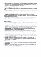Voorbeeld - Koningen van België (Begrijpend lezen 3e en 4e leerjaar) - Pagina 2