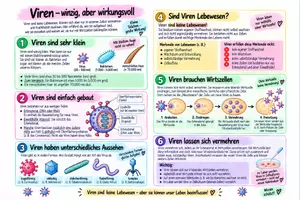 Vorschau - Unterrichtsreihen - 🧬 Materialpaket Biologie: Pilze · Bakterien · Viren - Seite 2