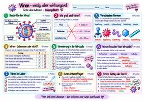 Vorschau - Unterrichtsreihen - 🦠 Viren – Aufbau, Vermehrung & COVID-19 - Seite 3