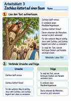 Vorschau - Arbeitsblätter - Zachäus begegnet Jesus | Religion Klasse 3 Arbeitsblätter | Evangelische Religionslehre | 10 Arbeitsblätter als PDF - Seite 3