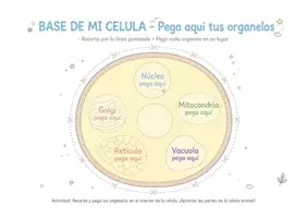 Vista previa - Unidades / Secuencias / Situaciones de Aprendizaje - Maqueta 3D Célula Animal Kawaii - Recortable Interactivo + Ficha Completa + Diploma - Papelitos Mágicos - página 2