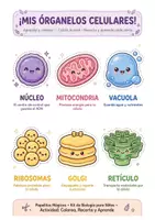 Vista previa - Unidades / Secuencias / Situaciones de Aprendizaje - Maqueta 3D Célula Animal Kawaii - Recortable Interactivo + Ficha Completa + Diploma - Papelitos Mágicos - página 3