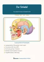 Vorschau - Arbeitsblätter - Der Schädel – Lesespurgeschichte mit Rätselaufgaben (Klasse 8) - Seite 1