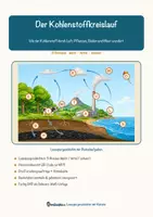 Vorschau - Mal- und Bastelvorlagen - Der Kohlenstoffkreislauf – Lesespurgeschichte mit Rätselaufgaben (Klasse 9) - Seite 1