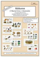 Vorschau - Poster - Weichtiere II - Muscheln | 17 Arten | digitale Tafelbilder & Poster - Deckblatt