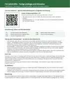 Vorschau - Arbeitsblätter - „Party“ (Jenny) – Textanalyse: Übung & Klassenarbeit mit Lösungen | Abschlussprüfung 2027 RS BW - Seite 1