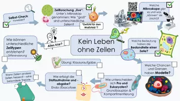 Vorschau - Unterrichtsreihen - ZELLBIOLOGIE: Kluge Übersicht und Adcanve Organizer (EF) - Seite 1