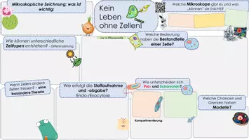 Vorschau - Unterrichtsreihen - ZELLBIOLOGIE: Kluge Übersicht und Adcanve Organizer (EF) - Seite 2