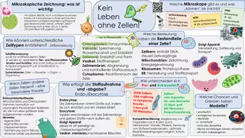 Vorschau - Unterrichtsreihen - ZELLBIOLOGIE: Kluge Übersicht und Adcanve Organizer (EF) - Deckblatt