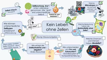 Vorschau - Unterrichtsreihen - ZELLBIOLOGIE: Kluge Übersicht und Adcanve Organizer (EF) - Seite 3