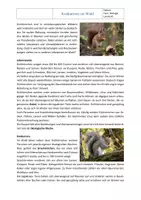 Vorschau - Arbeitsblätter - Ökosystem Wald: Konkurrenz zwischen Waldtieren – Arbeitsblatt mit Lösung | Berufliche Bildung - Seite 1