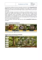 Vorschau - Arbeitsblätter - Ökosystem Wald: Konkurrenz zwischen Waldtieren – Arbeitsblatt mit Lösung | Berufliche Bildung - Seite 3