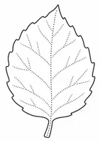 Vorschau - Mal- und Bastelvorlagen - Herbst Blätter Kunst Nachspuren Schwungübungen Vorschule Graphomotorik Anfangsunterricht - Seite 2