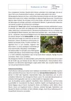 Vorschau - Arbeitsblätter - Ökosystem Wald: Konkurrenz zwischen Waldtieren – Arbeitsblatt mit Lösung | Klasse 7/8 - Seite 2
