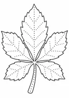 Vorschau - Mal- und Bastelvorlagen - Herbstblätter prickeln - Ahorn, Eiche uvm. - Seite 2