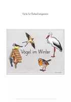 Vorschau - Stundenentwürfe - Vögel im Winter Unterrichtseinheit - Seite 2