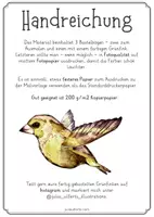 Vorschau - Mal- und Bastelvorlagen - Grünfink 3D Bastelbogen - Heimische Singvögel - Seite 2