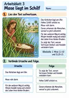 Vorschau - Arbeitsblätter - Mirjam ist mutig | Religion Klasse 3 Arbeitsblätter | Evangelische Religionslehre | 10 Arbeitsblätter als PDF - Seite 3