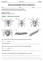 Vorschau - Arbeitsblätter - Basisscreening Biologie Bestimmen Klasse 7–8 - Deckblatt