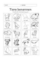 Vorschau - Arbeitsblätter - Tiere benennen – Wortschatzförderung für den DaZ- & VABO - Deckblatt