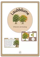 Vorschau - Poster - Laubbäume Infokarten/ Auhang/ Wald / Sachunterricht - Deckblatt