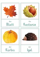 Vorschau - Spiele - Herbst – Wort- und Bildkarten | Wortschatz Herbst | 40 Begriffe mit Artikel der die das & Silbenschrift | differenziert Kita Klasse 1 2 | DaZ Grundschule - Seite 1
