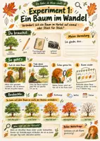 Vorschau - Arbeitsblätter - Die Natur, die Wissen schafft! – Warum Blätter bunt werden - Seite 3