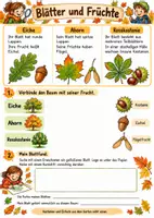 Vorschau - Arbeitsblätter - Herbst - kleines Materialpaket Sachunterricht Kl. 2 - Seite 1
