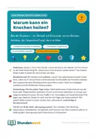 Vorschau - Stundenentwürfe - Bewegungssystem Knochenbau Klasse 5 6 (Std 2) - Deckblatt