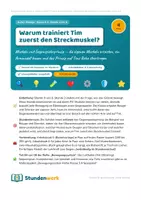 Vorschau - Stundenentwürfe - Bewegungssystem Muskeln Klasse 5 6 (Std 4) - Deckblatt