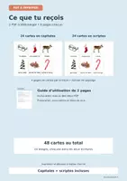 Aperçu - Apprentissages en autonomie - Noël : cartes de nomenclature à imprimer - Page 3