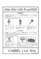 Vista previa - Unidades / Secuencias / Situaciones de Aprendizaje - 4º PRI. Flipbooks Tema 2. Las plantas - página 3
