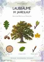 Vorschau - Unterrichtsreihen - Laubbäume im Jahreslauf – großes Biologie-Gesamtpaket | Baumarten, Fotosynthese, Jahresringe & Jahreszeiten - Deckblatt