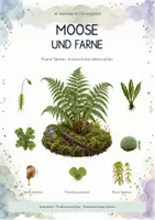 Vorschau - Stundenentwürfe - Pflanzenvielfalt im Fokus – 6 komplette Biologie-Unterrichtseinheiten | Bäume, Moose & Farne, Algen, Pflanzenfamilien & Flechten - Seite 1