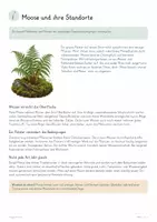 Vorschau - Unterrichtsreihen - Moose & Farne – großes Biologie-Gesamtpaket | Sporen, Generationswechsel, Wasserhaushalt & Artenkenntnis - Seite 3