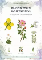 Vorschau - Unterrichtsreihen - Pflanzenfamilien & Artenkenntnis – großes Biologie-Gesamtpaket | Blütenmerkmale, Bestimmung & Pflanzenvielfalt - Deckblatt