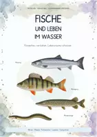 Vorschau - Unterrichtsreihen - Fische & Leben im Wasser – Biologie Gesamtpaket | Körperbau, Kiemen, Auftrieb, Wanderfische & Gewässerschutz - Deckblatt