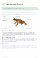 Vorschau - Unterrichtsreihen - Amphibien & Metamorphose – Biologie Gesamtpaket | Frosch, Kaulquappe, Atmung, Entwicklung & Amphibienschutz - Seite 3