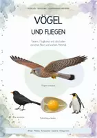 Vorschau - Unterrichtsreihen - Vögel & Fliegen – Biologie Gesamtpaket | Federn, Auftrieb, Vogelskelett, Atmung, Brutpflege & Vogelzug - Deckblatt