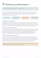 Vorschau - Unterrichtsreihen - Hund & Katze – verantwortliche Tierhaltung | Biologie, Körpersprache, Verhalten, Bedürfnisse & Tierwohl - Seite 3