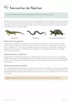 Vorschau - Unterrichtsreihen - Reptilien & Leben an Land – Biologie Gesamtpaket | Hornschuppen, Lunge, amniotisches Ei, Temperatur & Artenkenntnis - Seite 3