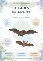 Vorschau - Unterrichtsreihen - Wirbeltiere XXL – Monsterpaket mit 8 kompletten Biologie-Unterrichtseinheiten | Fische, Amphibien, Reptilien, Vögel, Säugetiere, Fledermäuse & Meeressäuger | 584 Seiten - Seite 1